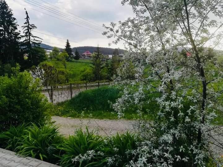 Pensiunea Valurile Bistritei Vatra Dornei Buitenkant foto